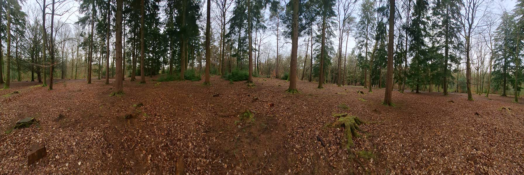 Wide panorama of possible site for installations.