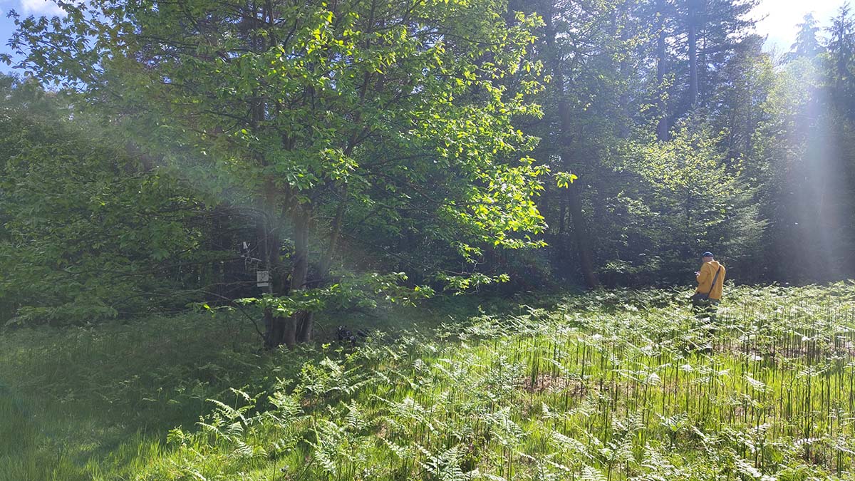 Luigi Marino testing Streamer I in the small meadow.