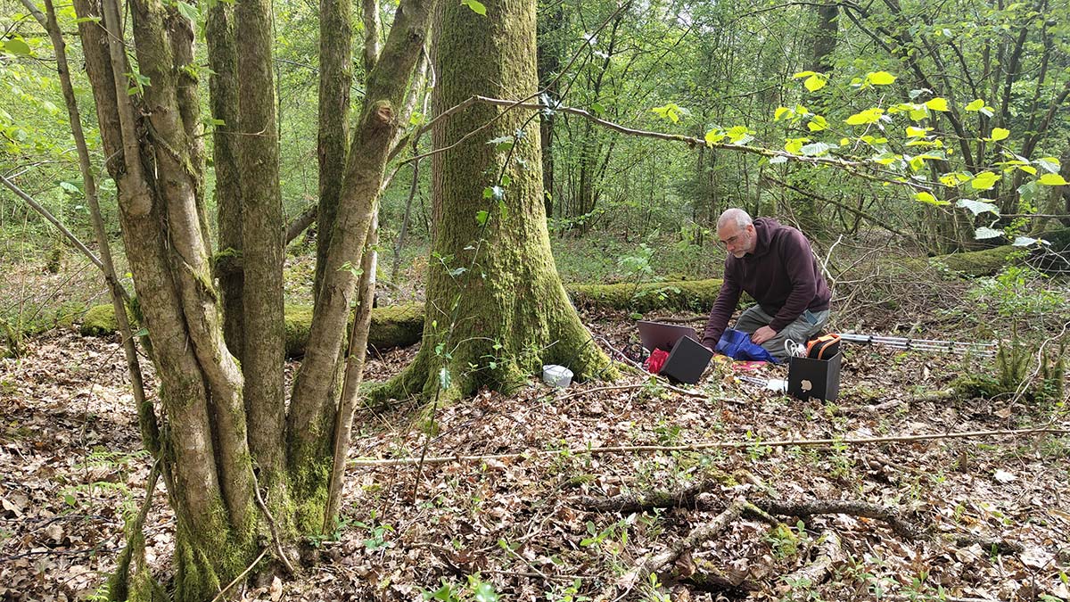 Peter Batchelor testing a multichannel sound installation in the Alice Holt forest.