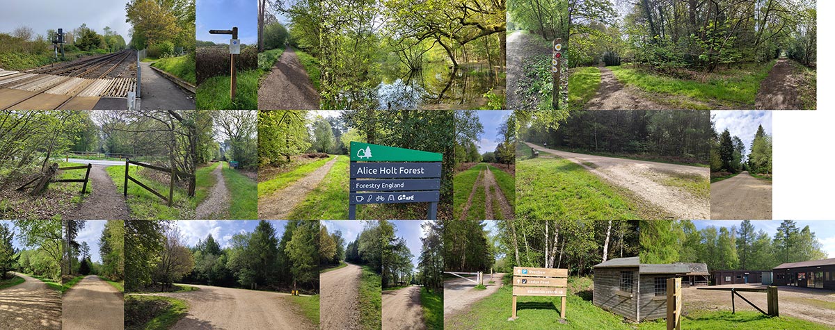 Photos of the route of Bentley Station to Alice Holt.