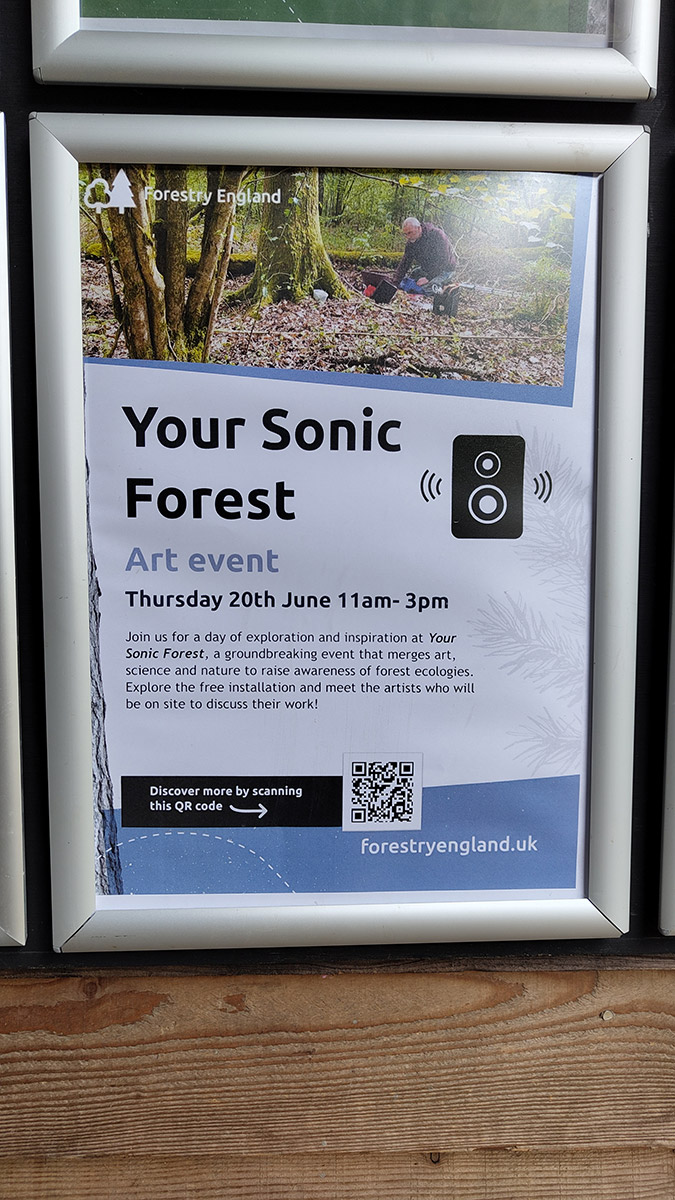Your Sonic Forest poster.