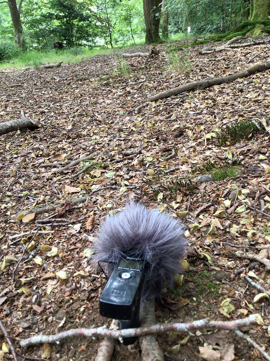 Zoom H1 audio recorder in the Alice Holt Lodge Pond facing the forest.