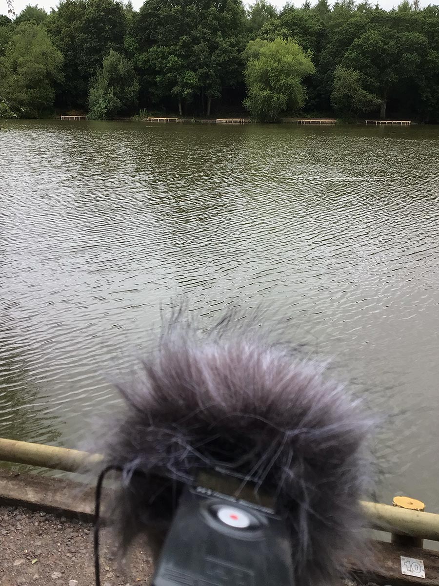 Zoom H1 audio recorder in the Alice Holt Lodge Pond facing the pond.