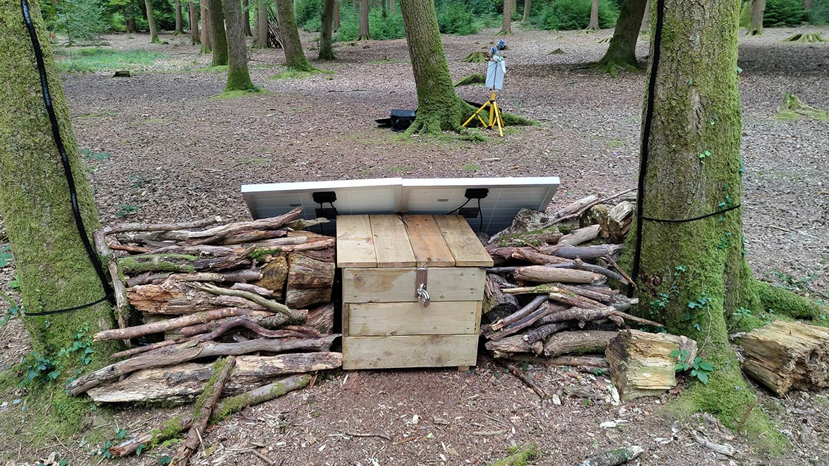 Dendrophone tidied up with wood logs.