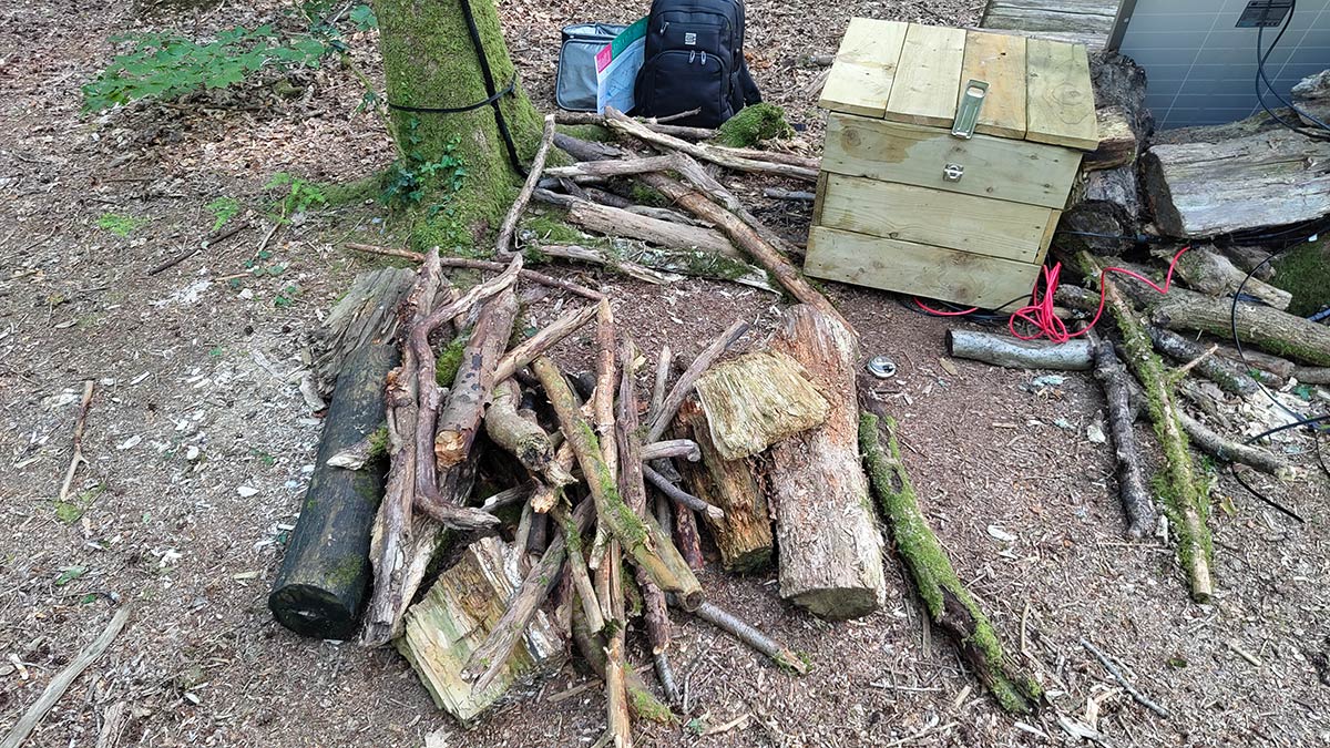 Collecting wood logs from the nearby area.