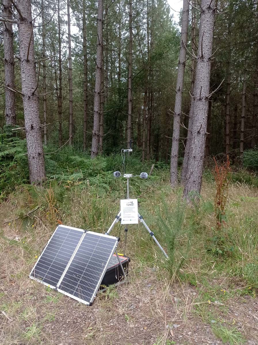 Streamer I Giorgio in a meadow near the Alice Hold Lodge Pond with new wiring and a foldable portable solar panel.