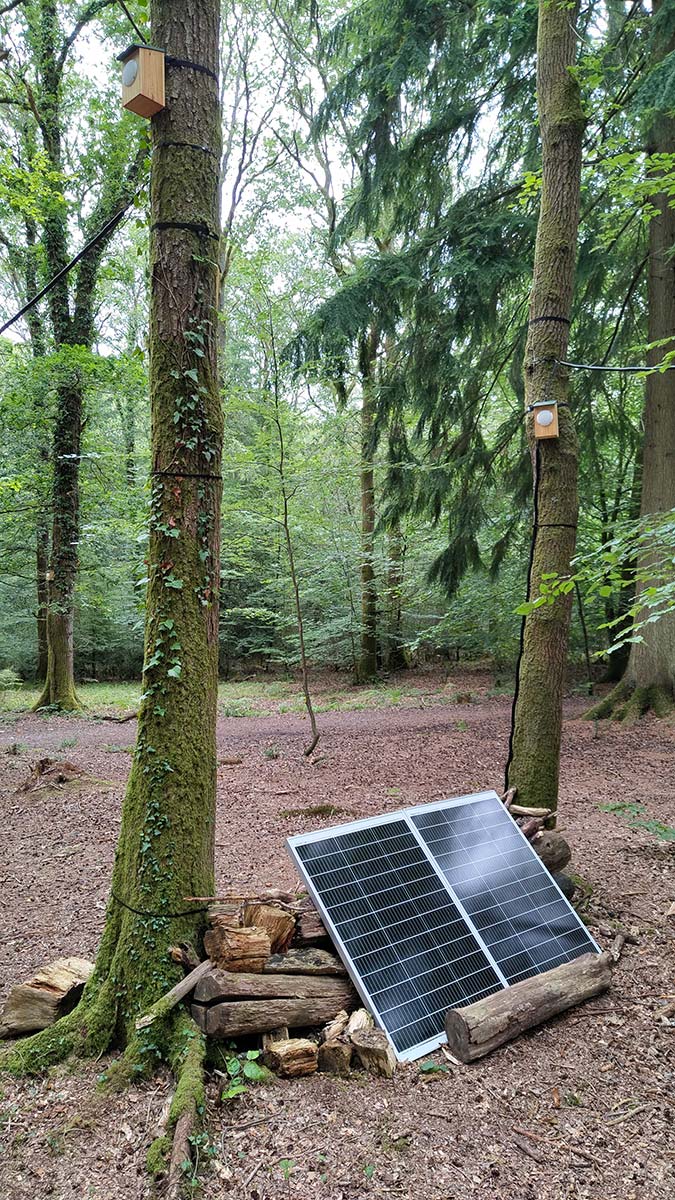 Dendrophone in Willows Green fully working using two solar panels.