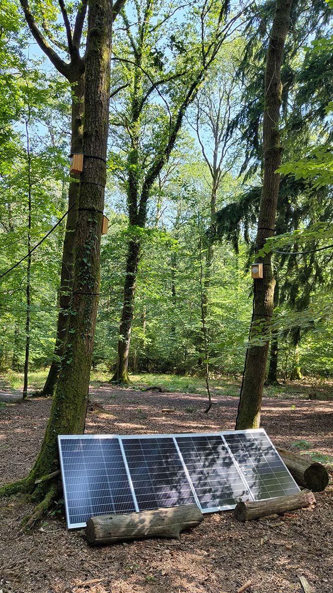 Dendrophone installation in Alice Holt Willows Green using four solar panels.