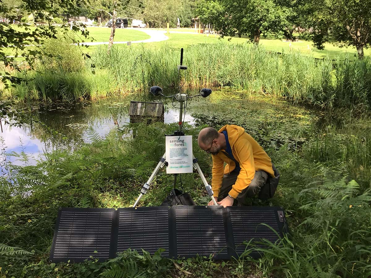 Luigi setting up the streamer near the small pond.