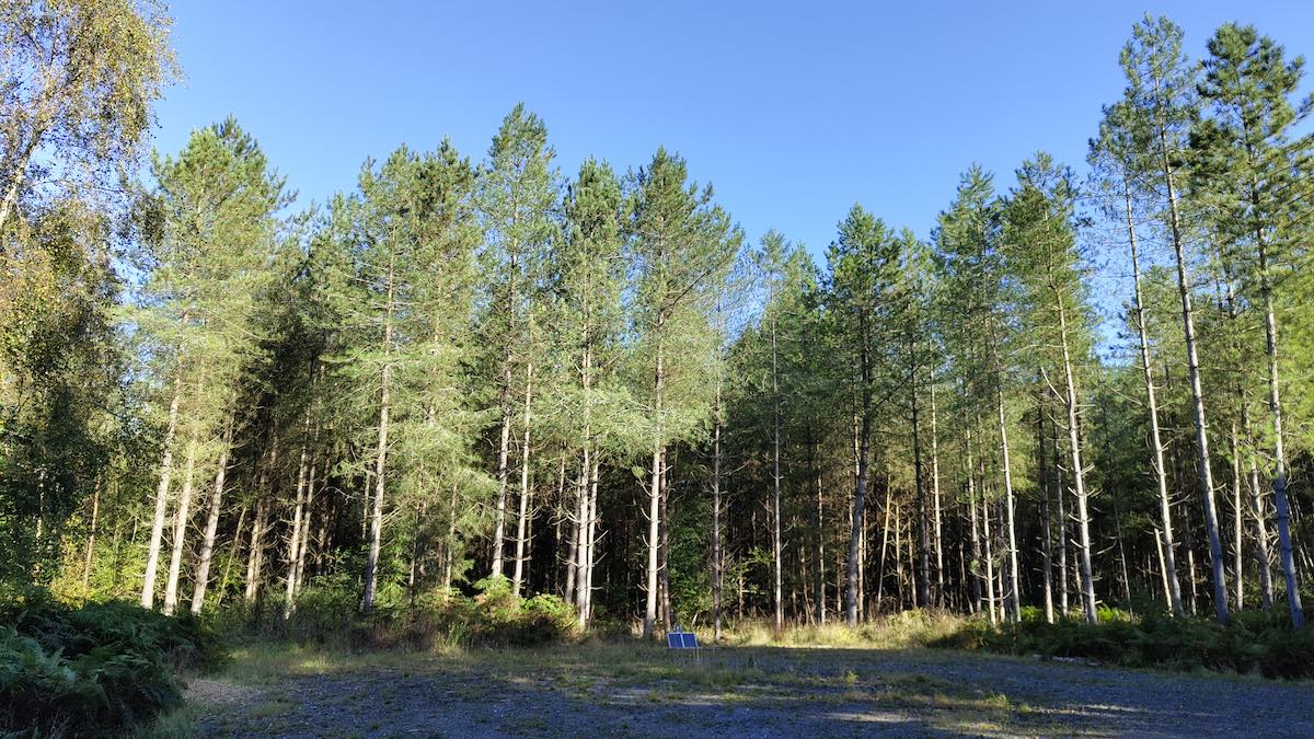 A panoramic view of the meadow where Giorgio streamer is located.