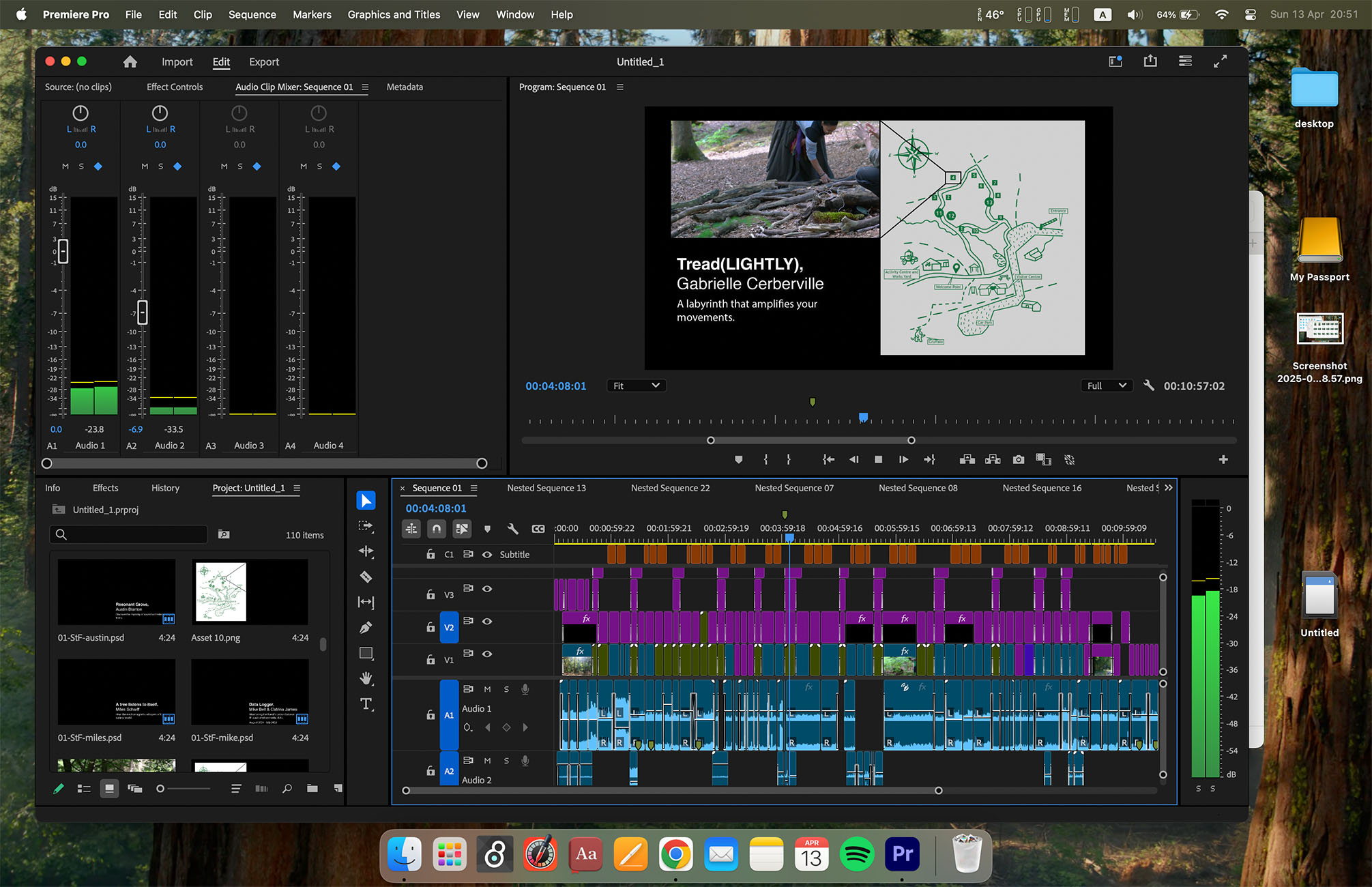 A screenshot of the editing workspace in Premiere Pro