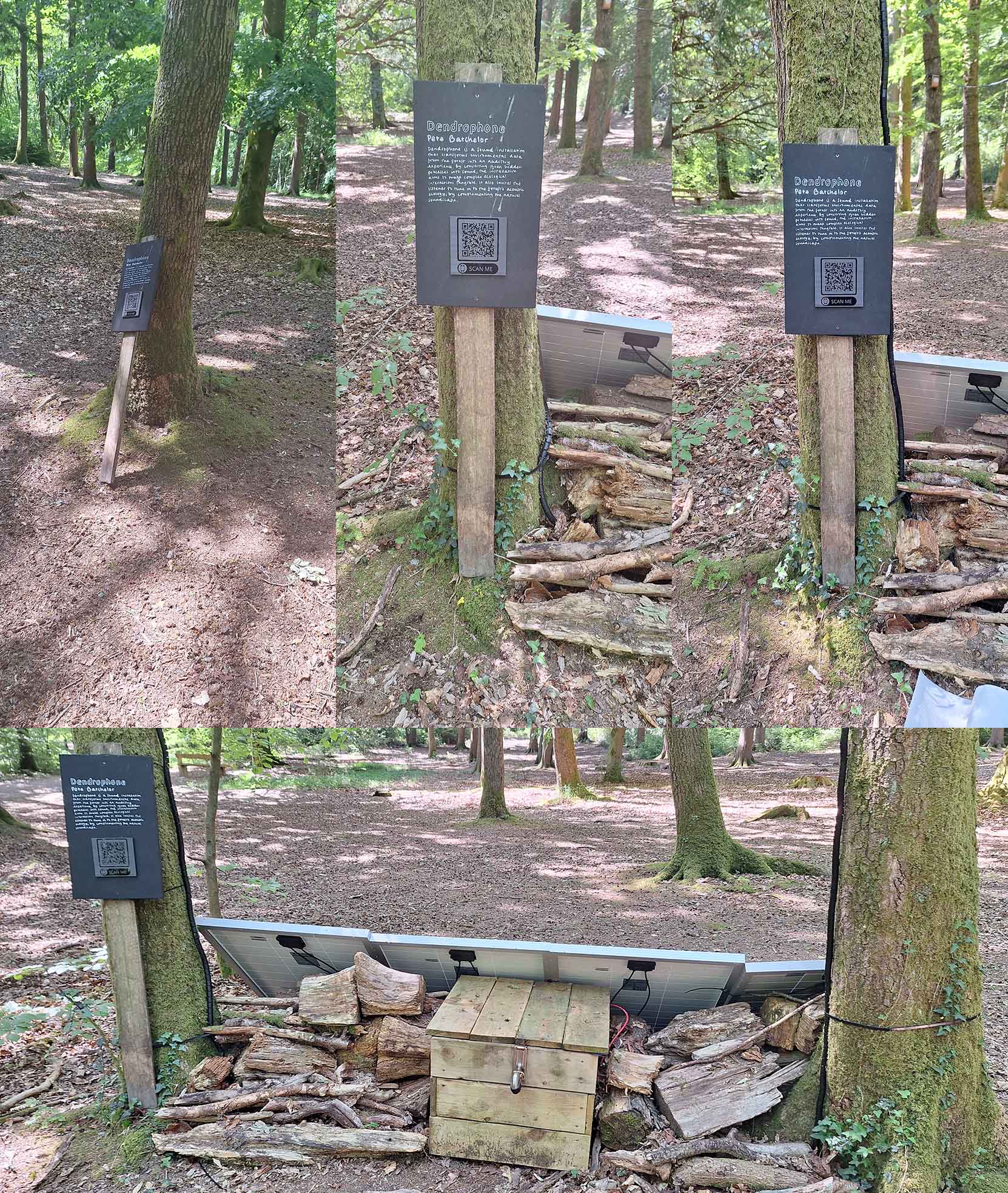 Top-left: Signage of Pete's Dendrophone pre-clean uprooted. Top-middle: Pre-clean. Top-right: Post-clean. Bottom: Resited sign and equipment box