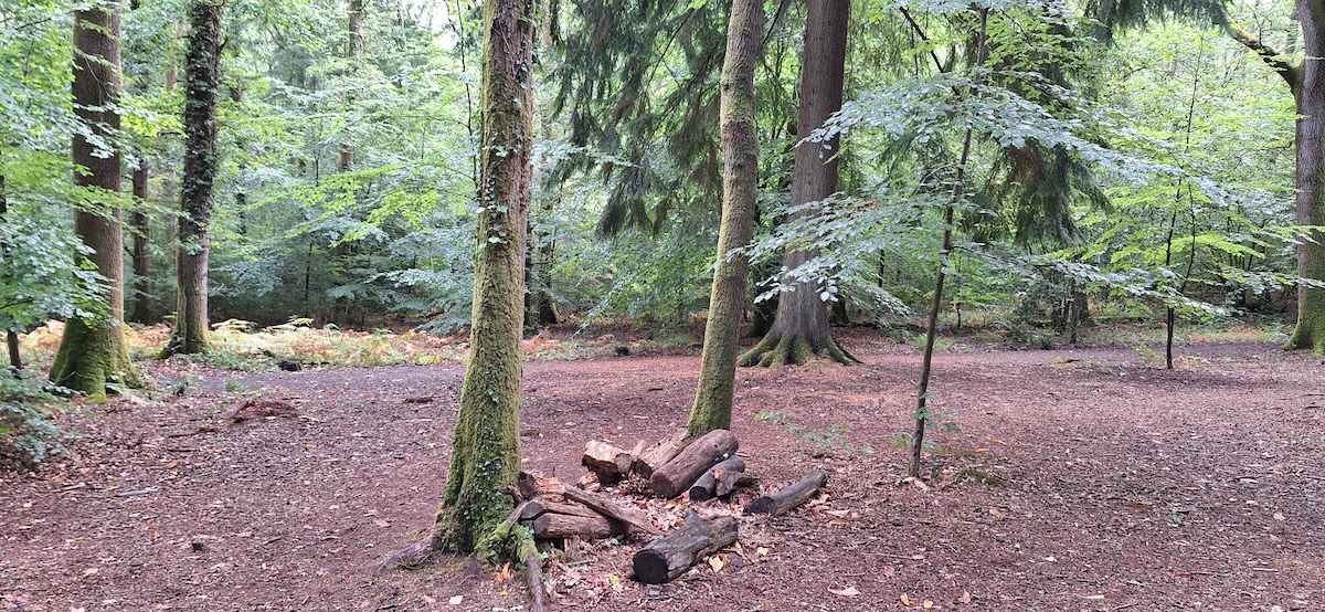 Dismantling Dendrophone at Willows Green, Alice Holt Forest. Photo by Peter Batchelor.