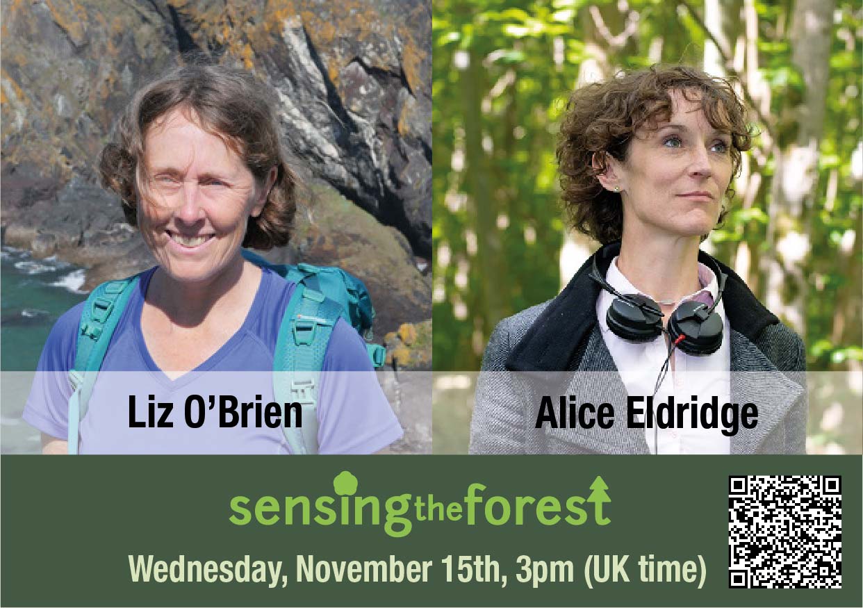 3rd Sensing the Forest Seminar: Liz O'Brien and Alice Eldridge